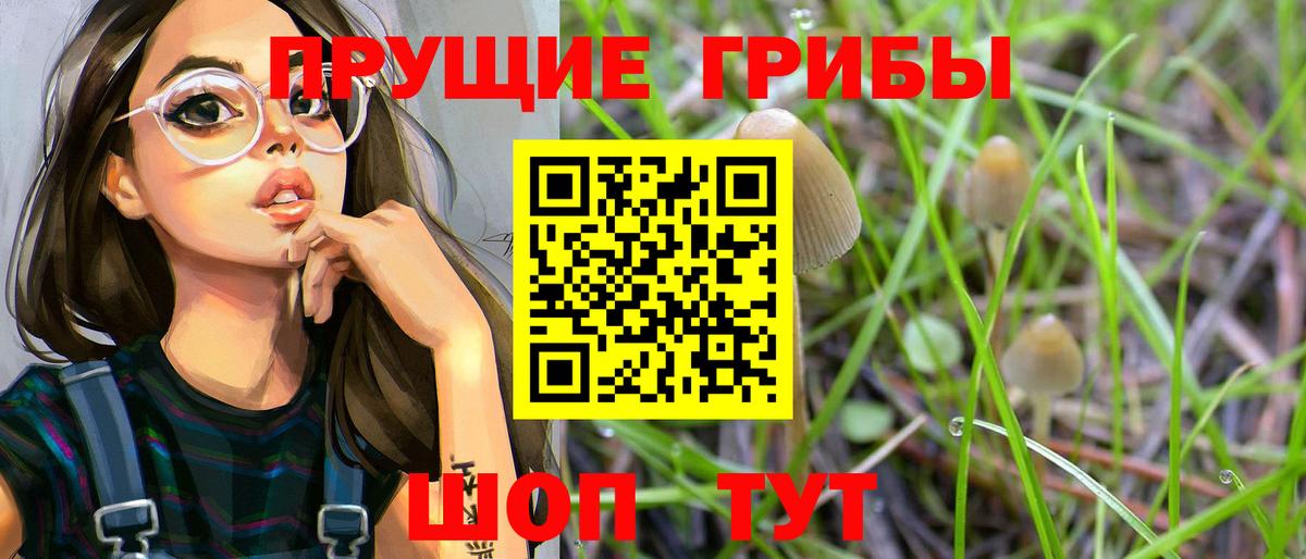 Бугуруслан  Галлюциногенные грибы мицелий  Вход с VPN 